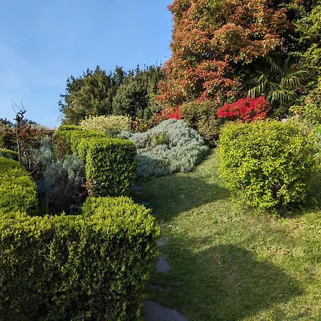 Surrounded By Garden