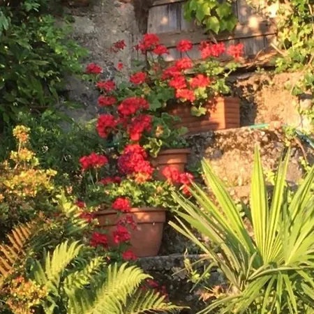 Surrounded By Garden *