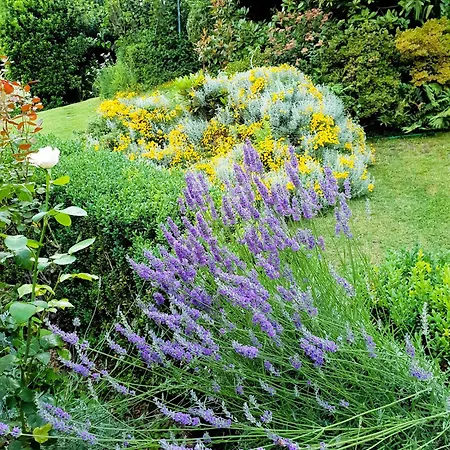 Surrounded By Garden *